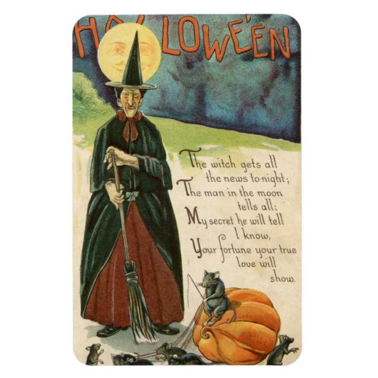 Halloween Witch  Magneet (Verticaal)