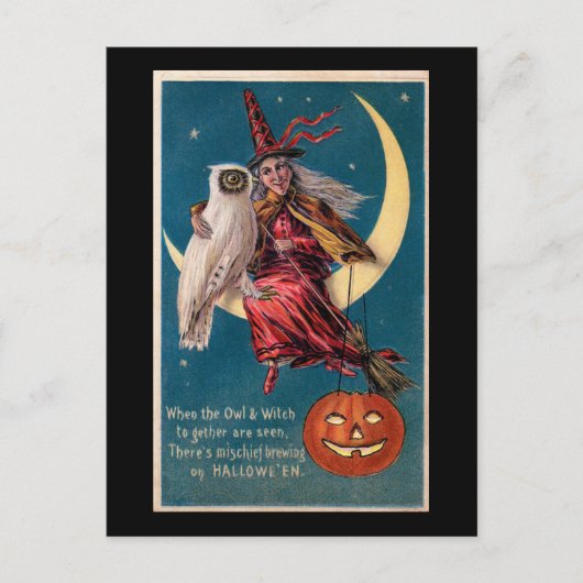 Halloween Witch op Moon met Owl  Briefkaart (Voorkant)