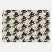 Halloween Witch Pet Broom — Papierbladen overvulle Inpakpapier Vel (Voorkant)