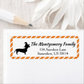 Halloween Witch Pet Dachshund & Stripes Etiket (Insitu)