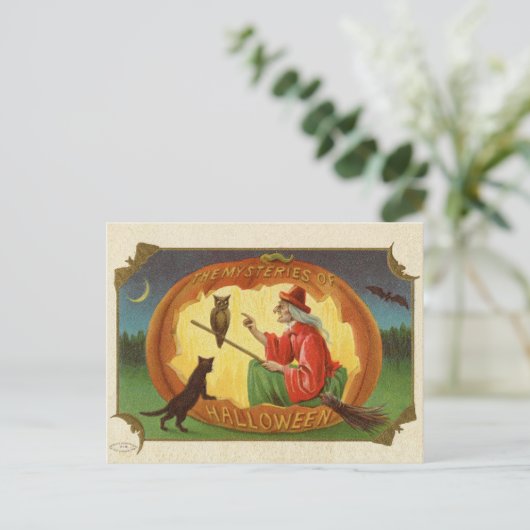 Halloween Witch Postard Briefkaart (Staand voorkant)