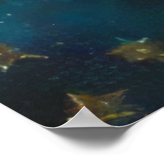  Halloween Witch Poster (Hoek)