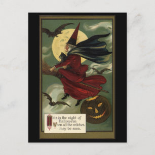 Halloween Witch Riding Broomstick met kat Briefkaart