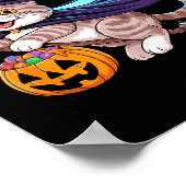 Halloween Witch Scottish Fold Moon Coupari  Poster (Hoek)