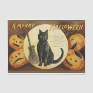  Halloween Witch's Black Cat & Pumpkins Tissuepapier