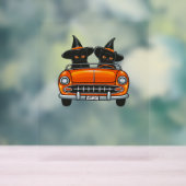 Halloween Witchy Cats Classic T-shirt Acryl Bord (Neutraal)