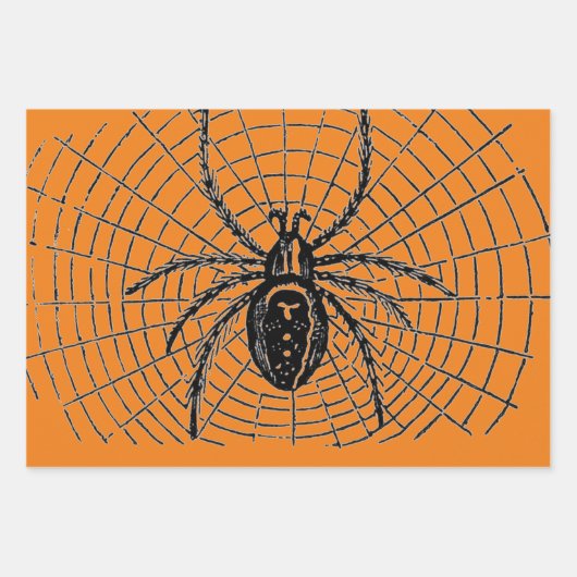 HALLOWEEN WRAPPINGPAPIER MET WITCH EN SPIDERS INPAKPAPIER VEL (Voorkant)