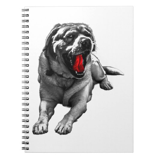 Halloween Yawn Notes Notitieboek (Voorkant)