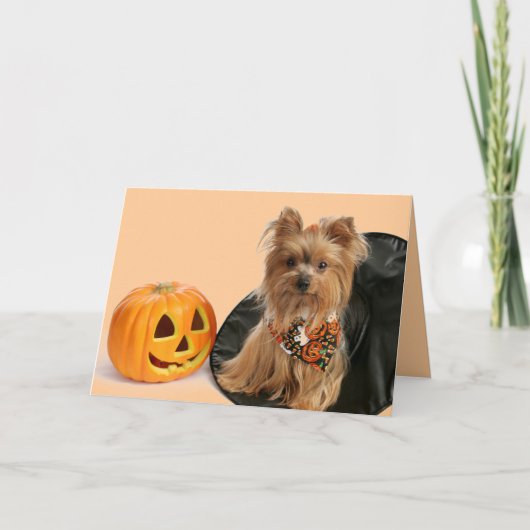 Halloween Yorkie Kaart (Voorkant)