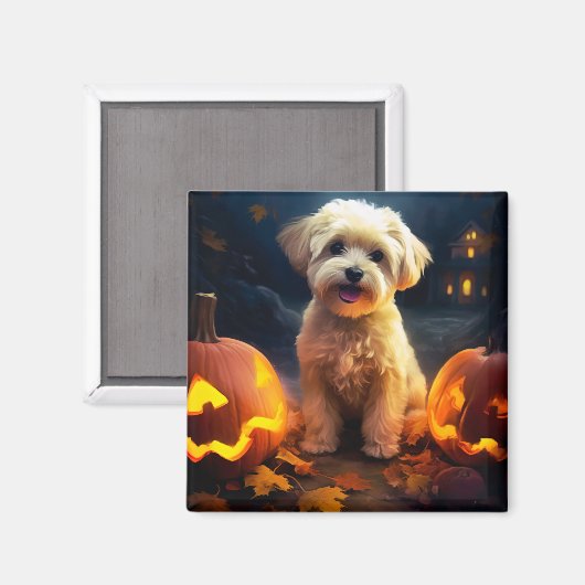 Halloween Yorkipoo met pompoenen eng Magneet (Voorkant / Achterkant)