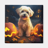 Halloween Yorkipoo met pompoenen eng Magneet (Voorkant)