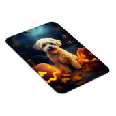 Halloween Yorkipoo met pompoenen eng Magneet (Rechterzijde)