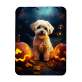 Halloween Yorkipoo met pompoenen eng Magneet (Verticaal)