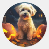 Halloween Yorkipoo met pompoenen eng Ronde Sticker (Voorkant)