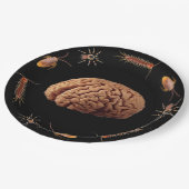 Halloween Zombie Brains voor het diner Papieren Bordje (Gekanteld)