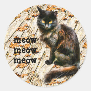 Halloween Zwart Kat Pet Fotografie Meow Meow Ronde Sticker