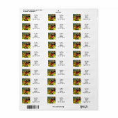  Halloween zwarte kat en heks Etiket (Full Sheet)