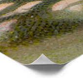 Halloween zwarte kat en heks Poster (Hoek)