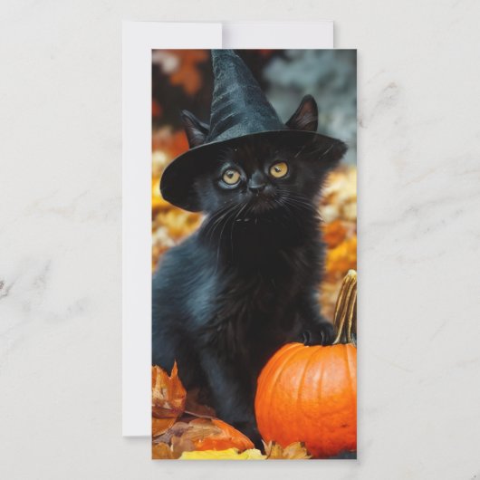 Halloween Zwarte Kat en Pompoen Kaart (Voorkant)