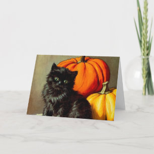 Halloween zwarte kat en pompoenen