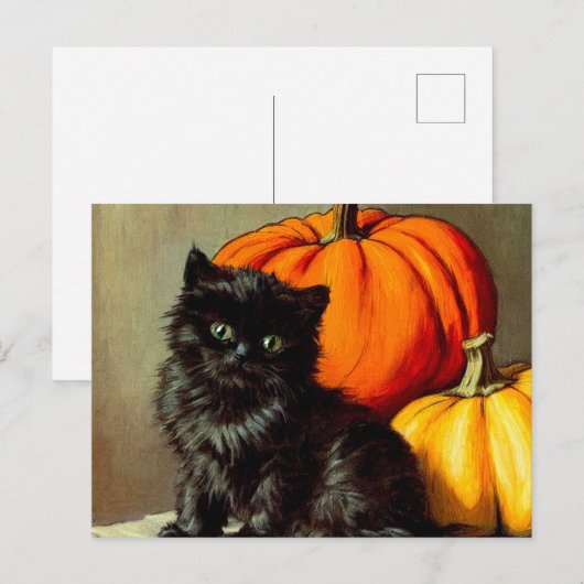 Halloween zwarte kat en pompoenen Briefkaart (Voorkant / Achterkant)