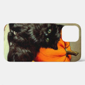 Halloween zwarte kat en pompoenen Case-Mate iPhone Case (Achterkant (horizontaal))