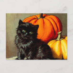  Halloween zwarte kat en pompoenen Feestdagenkaart