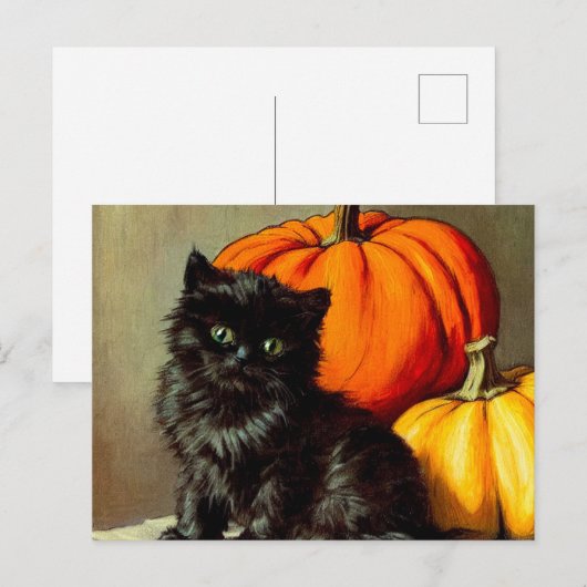  Halloween zwarte kat en pompoenen Feestdagenkaart (Voorkant / Achterkant)