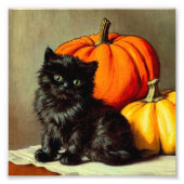  Halloween zwarte kat en pompoenen Foto Afdruk (Voorkant)