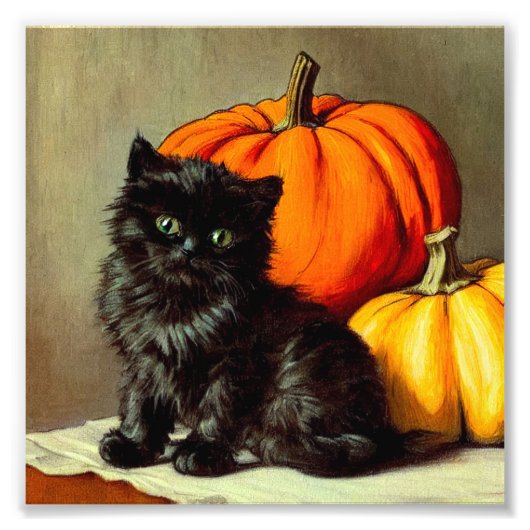  Halloween zwarte kat en pompoenen Foto Afdruk (Voorkant)