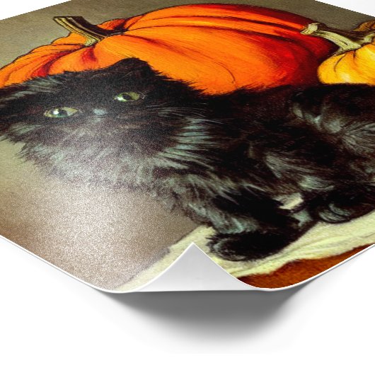  Halloween zwarte kat en pompoenen Foto Afdruk (Hoek)