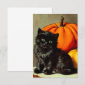  Halloween zwarte kat en pompoenen Informatiekaartje (Voorkant / Achterkant)