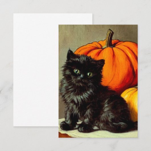 Halloween zwarte kat en pompoenen Informatiekaartje (Voorkant / Achterkant)