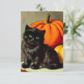  Halloween zwarte kat en pompoenen Informatiekaartje (Staand voorkant)