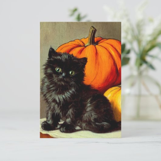  Halloween zwarte kat en pompoenen Informatiekaartje (Staand voorkant)