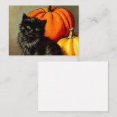 Halloween zwarte kat en pompoenen Informatiekaartje (Voorkant / Achterkant)