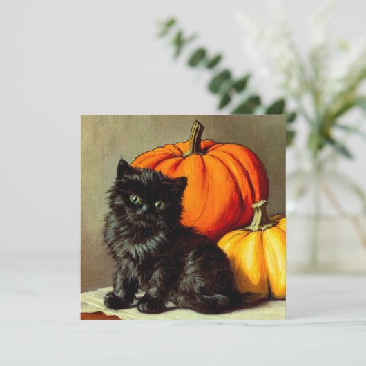  Halloween zwarte kat en pompoenen Kaart (Staand voorkant)