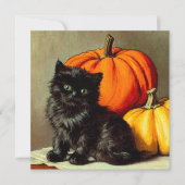  Halloween zwarte kat en pompoenen Kaart (Voorkant)