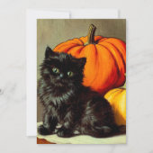  Halloween zwarte kat en pompoenen Kaart (Voorkant)