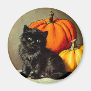 Halloween zwarte kat en pompoenen Magneet