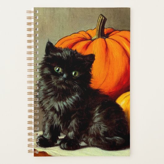 Halloween zwarte kat en pompoenen Planner (Voorkant)