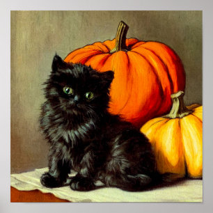  Halloween zwarte kat en pompoenen Poster