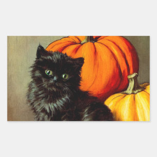 Halloween zwarte kat en pompoenen Rechthoekige Sticker