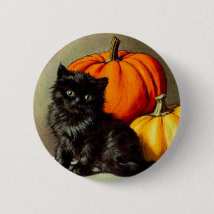 Halloween zwarte kat en pompoenen Ronde Button 5,7 Cm