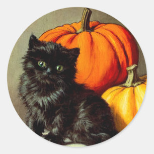 Halloween zwarte kat en pompoenen Ronde Sticker
