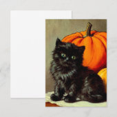 Halloween zwarte kat en pompoenen RSVP Kaartje (Voorkant / Achterkant)
