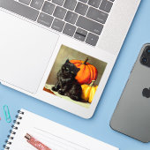  Halloween zwarte kat en pompoenen Sticker (Laptop met iPhone)