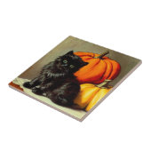  Halloween zwarte kat en pompoenen Tegeltje (Zijkant)