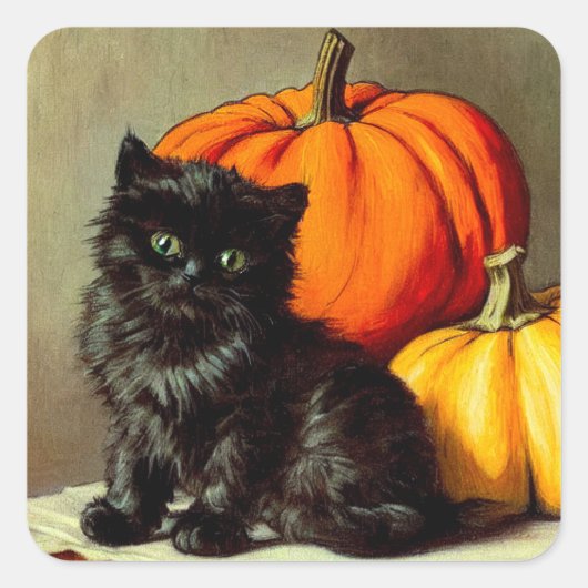  Halloween zwarte kat en pompoenen Vierkante Sticker (Voorkant)