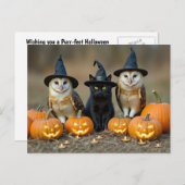 Halloween zwarte kat en uilen Schattige Feestdagenkaart (Voorkant / Achterkant)